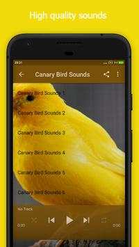 Canary Bird Sounds screenshot 2