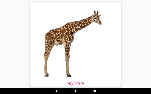 Карточки Домана screenshot 24