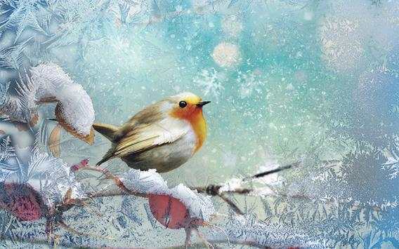 Snow Birds Songs HD LWP screenshot 4