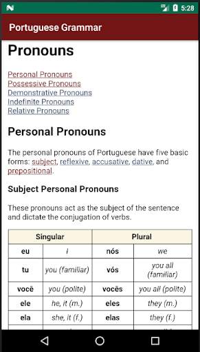 Portuguese Grammar Essentials screenshot 2