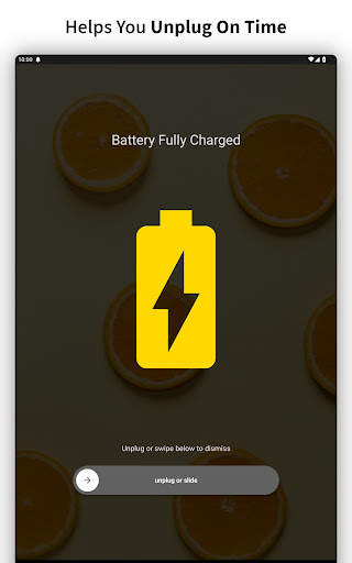 Full Battery Charge Alarm screenshot 19