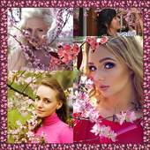 Sakura Photo Collage 1.5