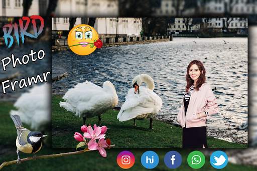 Bird Photo Frame : Cut Paste Editor screenshot 5