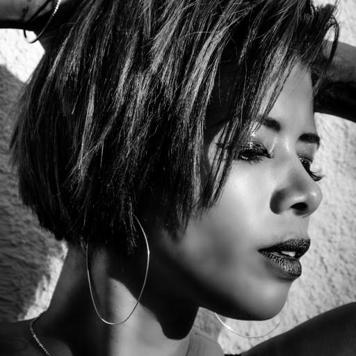 Kelis 1.9464.0001