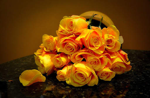 Flowers and Roses Live Wallpaper Gif App screenshot 11