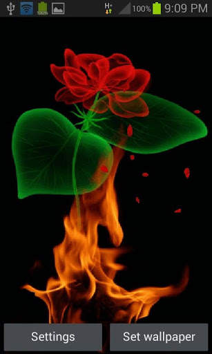 Fiery Rose Magic LWP screenshot 1