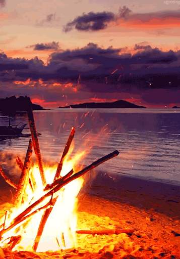 Bonfire Live Wallpaper screenshot 1