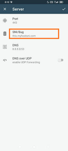 Bypasser SSL VPN screenshot 2
