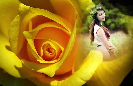Macro Rose Photo Frame скриншот 4