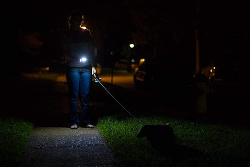 Flashlight Super Torch® Pro Powered With Compass! screenshot 10