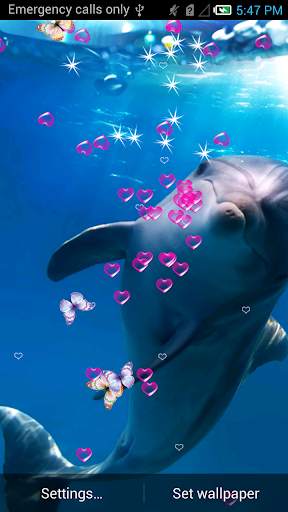 Dolphin Live Wallpaper screenshot 2