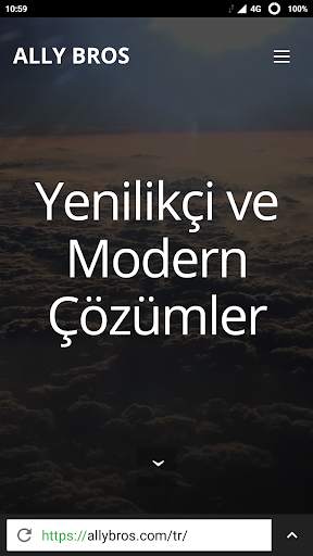 NetRover Web Tarayıcı screenshot 2