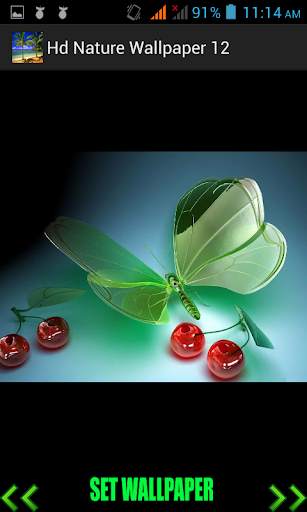 Hd Nature Wallpaper screenshot 8