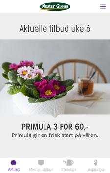 Mester Grønn Medlem screenshot 3