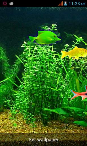 Aquarium Live Wallpaper! screenshot 3