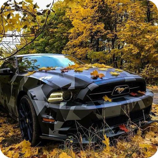 Mustang Wallpaper icon