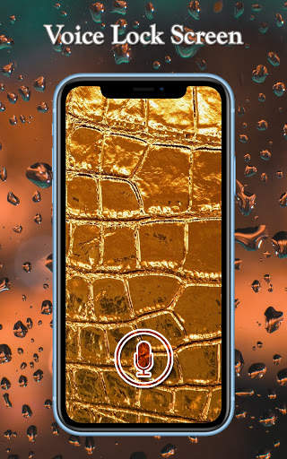 Gold Voice Lock Screen: Gold Screen Lock screenshot 2