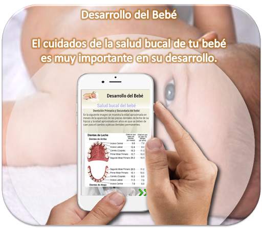 Desarrollo del Bebé screenshot 5
