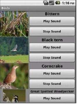 Bird Sounds screenshot 1