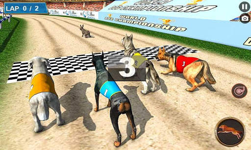 Real Dog Racing Tournament screenshot 3