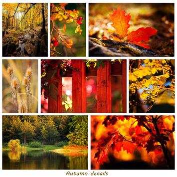 Stitch Collage screenshot 2