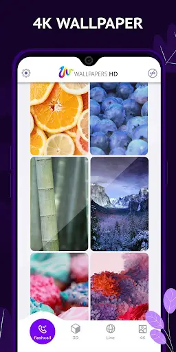 Wallpapers HD screenshot 2