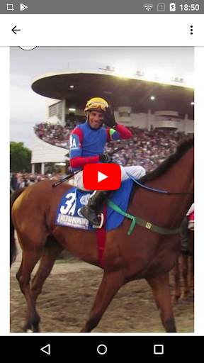Horse Racing Latest News screenshot 9
