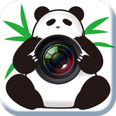 PANDA CAMERA icon