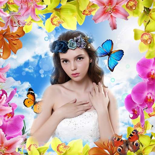 Butterfly Photo Frames 12.0