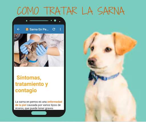 🐶 Free Dog Home Remedies 🐶 screenshot 4
