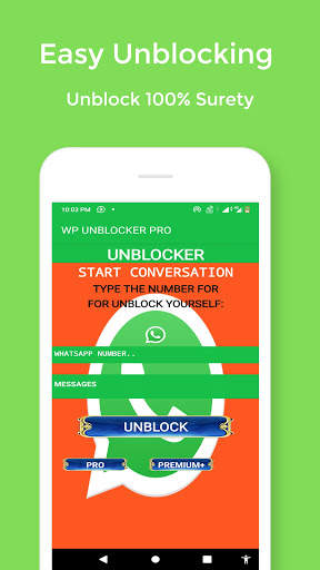 WP UNBLOCKER LITE screenshot 2