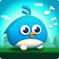 Bird Scream