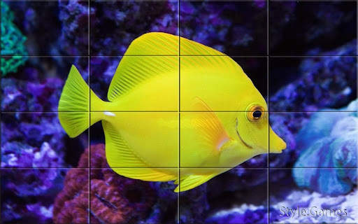 Sea world Puzzle screenshot 7
