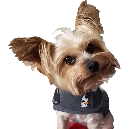 PicSlot icon