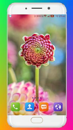 Awesome HD Wallpaper screenshot 7