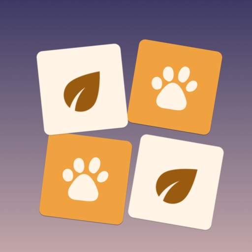 Find Pair 3.1.0