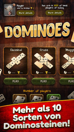 Domino screenshot 1