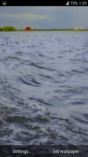Dolphin 3d. Video Wallpaper स्क्रीनशॉट 7