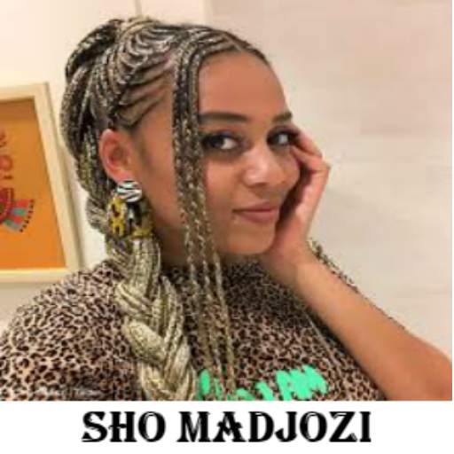 Sho Madjozi Songs 1.0