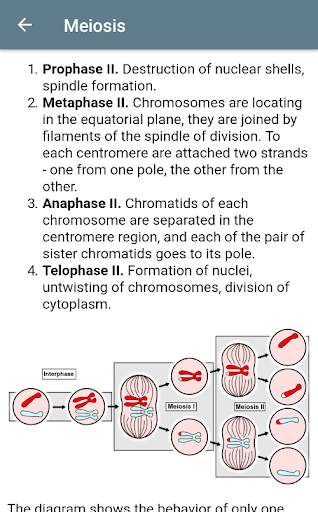 Mitosis, Meiosis and Organelles screenshot 7