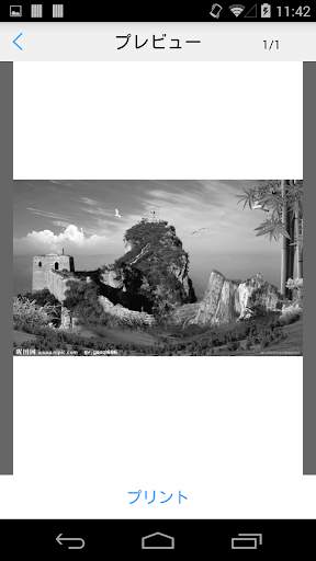 Ricoh Printer screenshot 2