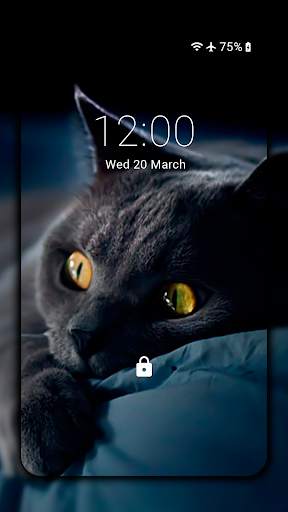 Black Cat Wallpaper Full HD (backgrounds & themes) screenshot 3