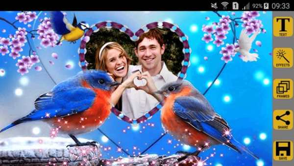 Love Birds Photo Frames screenshot 6