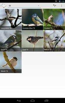 Bird Watcher screenshot 18