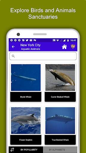 New York City Travel & Explore, Offline City Guide screenshot 5