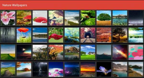 Nature Wallpapers HD screenshot 7