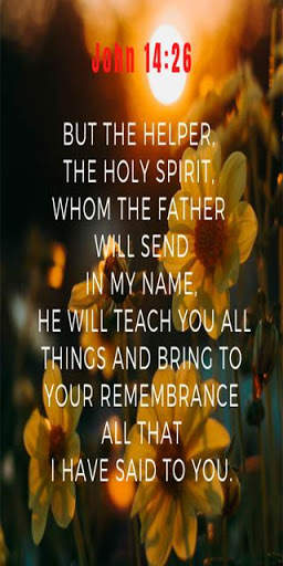 Best Inspirational Bible Quotes screenshot 3