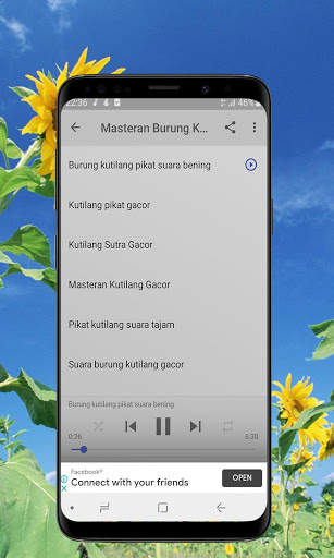 Kicau Burung Kutilang Offline screenshot 3