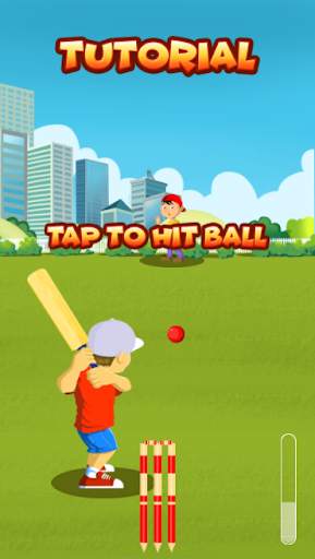 Street Cricket screenshot 6