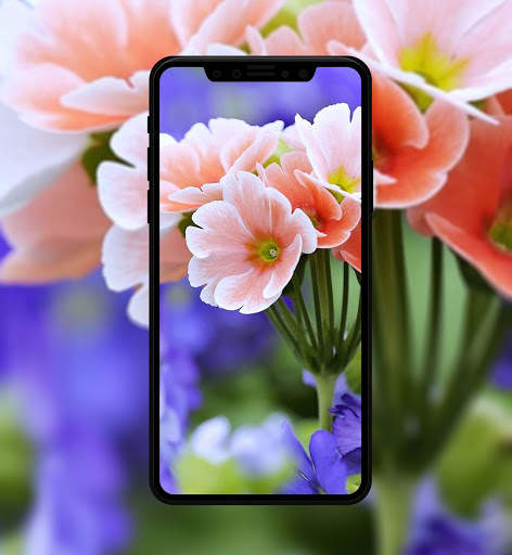 Flower Wallpapers 4K скриншот 4